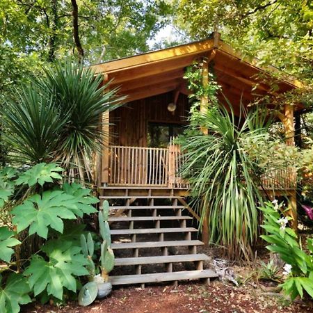 Camping Aux Couleurs Du Ferret Lege-Cap-Ferret Luaran gambar