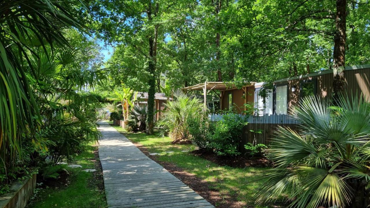 Camping Aux Couleurs Du Ferret Lege-Cap-Ferret Luaran gambar