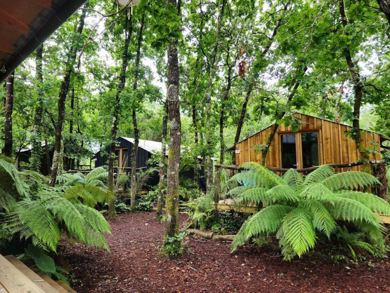 Camping Aux Couleurs Du Ferret Lege-Cap-Ferret Luaran gambar