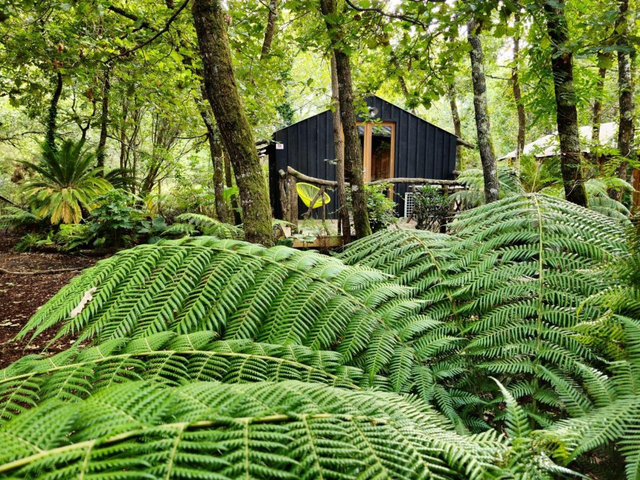Camping Aux Couleurs Du Ferret Lege-Cap-Ferret Luaran gambar